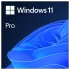 Microsoft Windows 11 Professional 64 Bit ENG Intl 1PK DSP OEI DVD